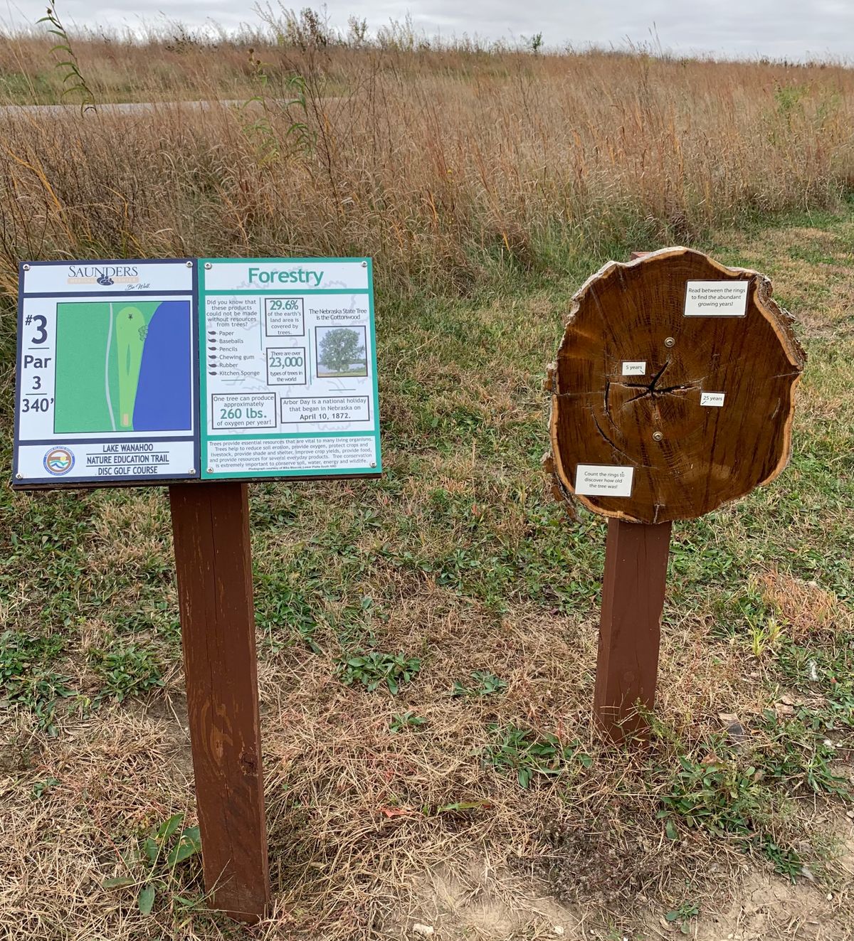 Hole 3 
Forestry
