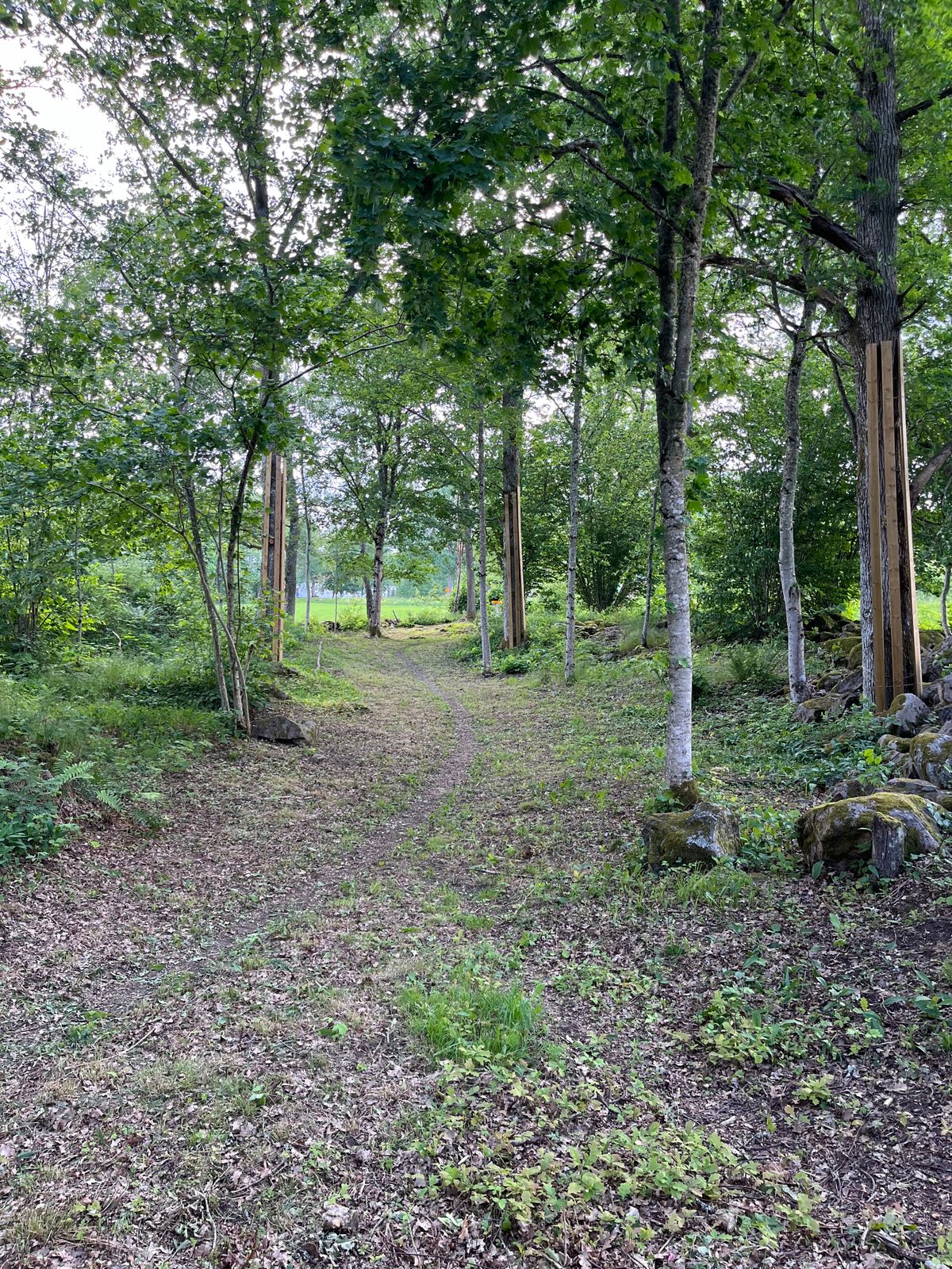 Fairway hål 8