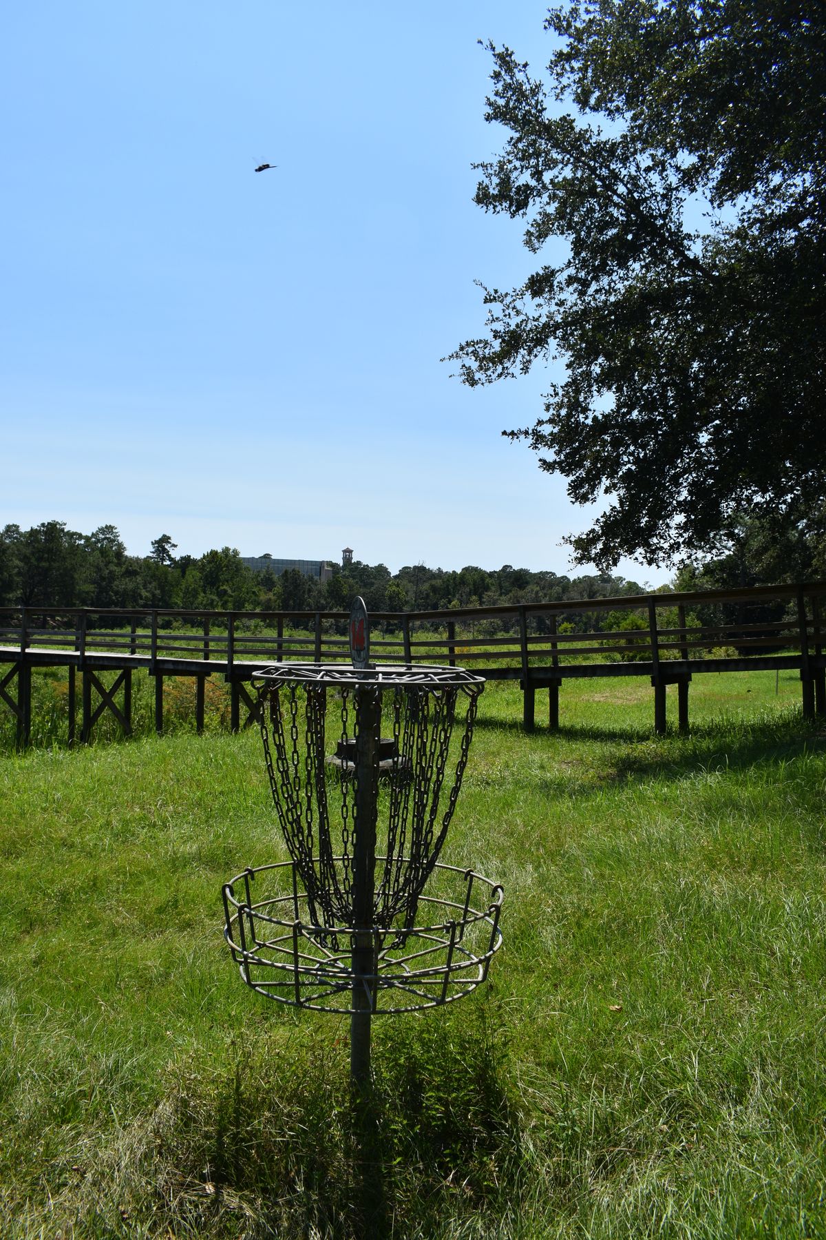 Hole 14’s Basket