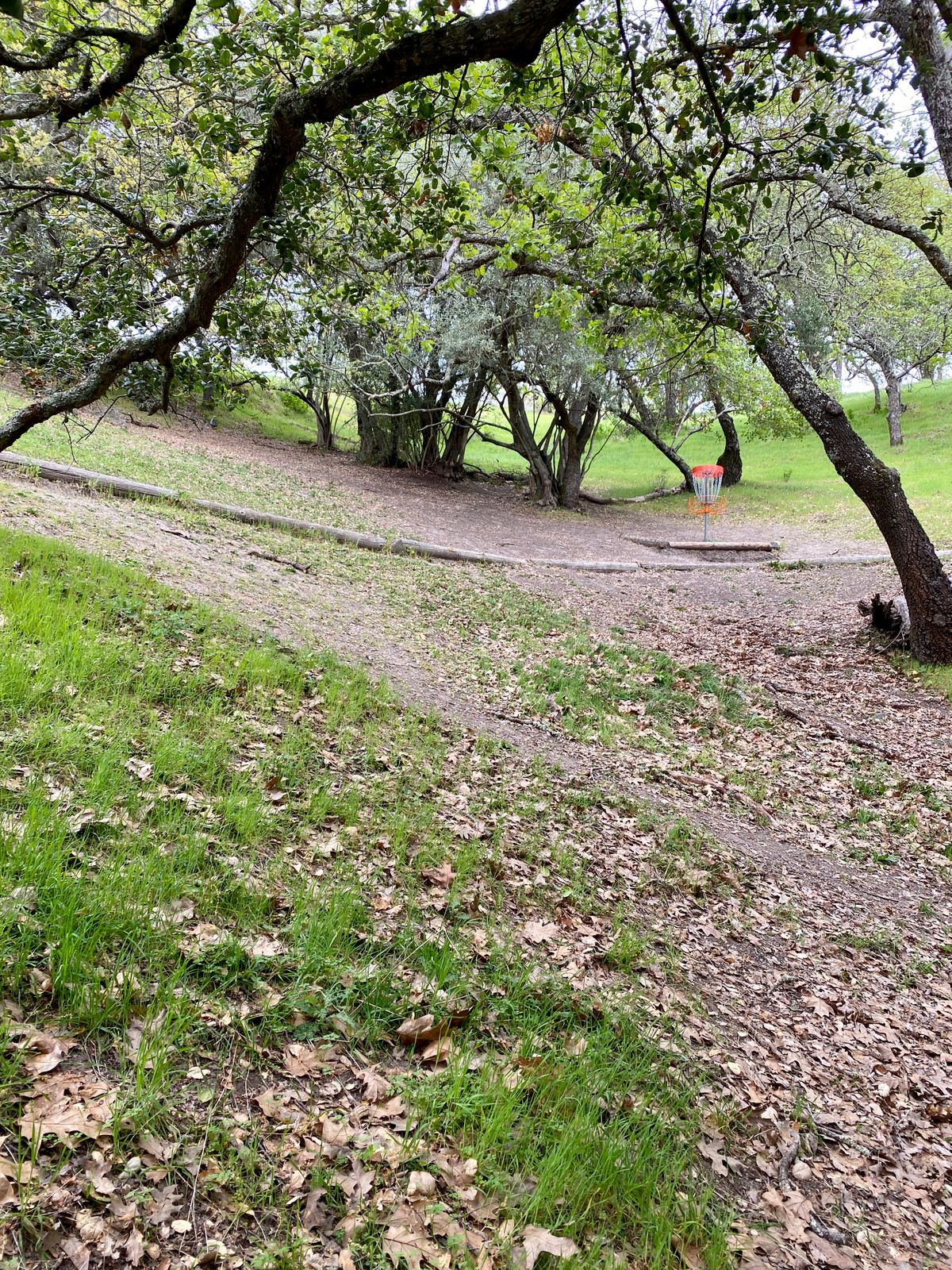 Hole 10 basket