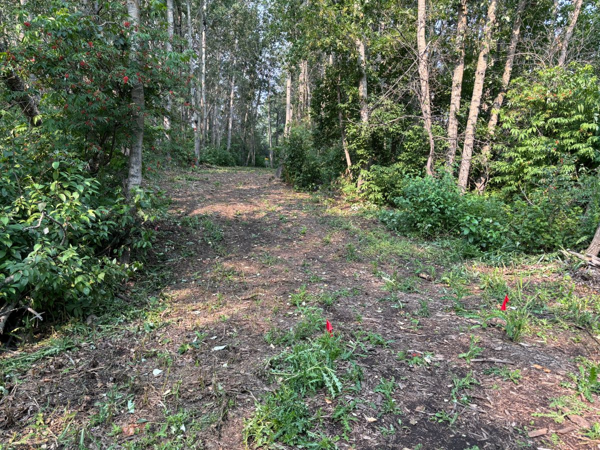 Hole 2 fairway