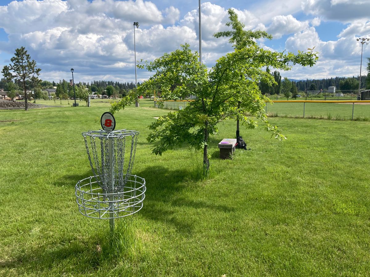 Hole #8 and the O’Reilly memorial bench