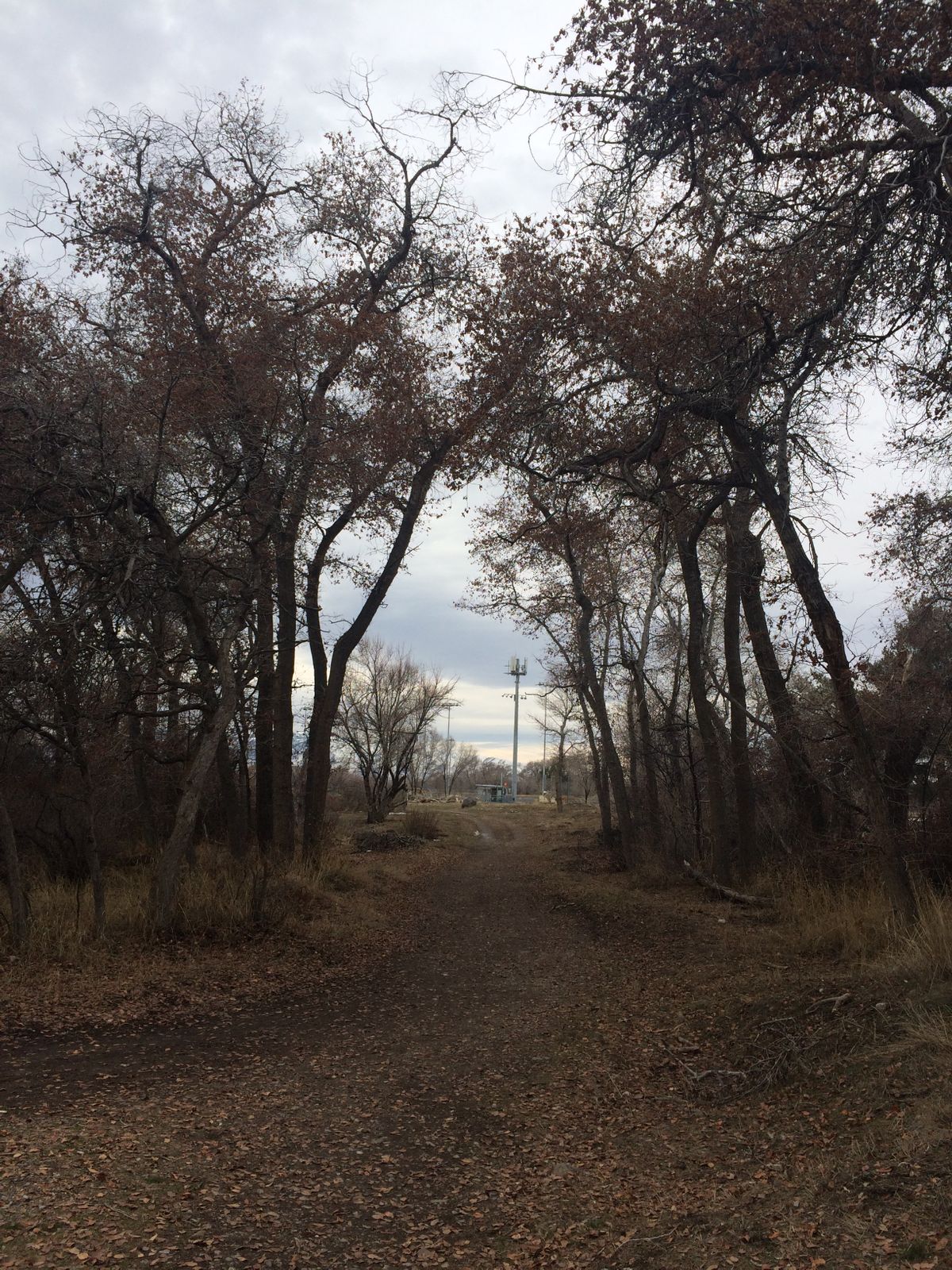 Art Dye Disc Golf Park Course Photos