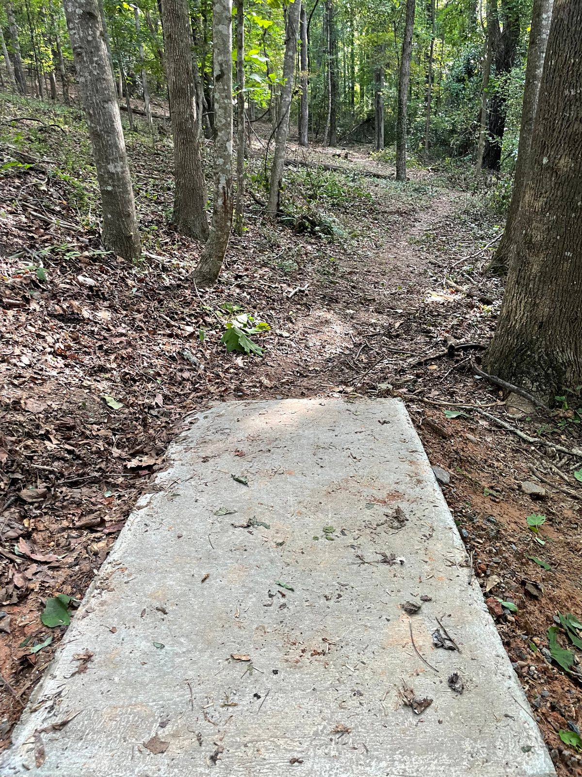 Tee 16