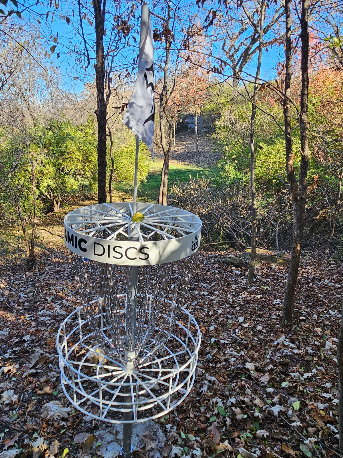 Hole 3 green back to tee.