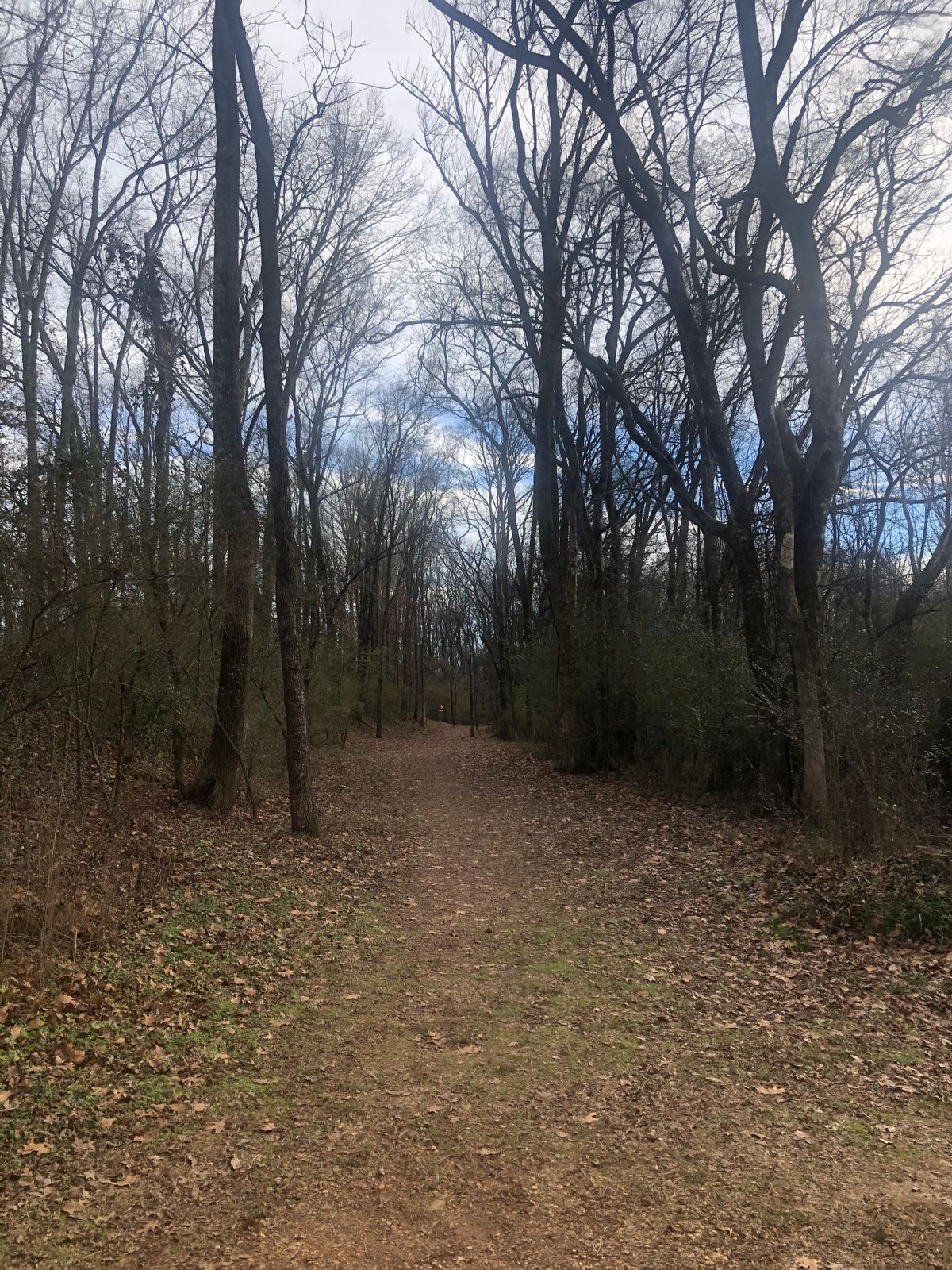 Hole 13