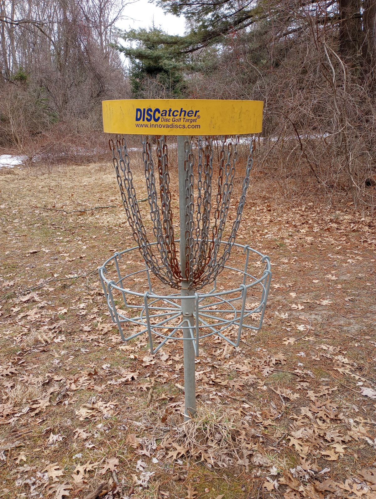 Old DISCatcher - baskets used