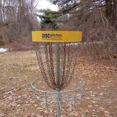 Old DISCatcher - baskets used
