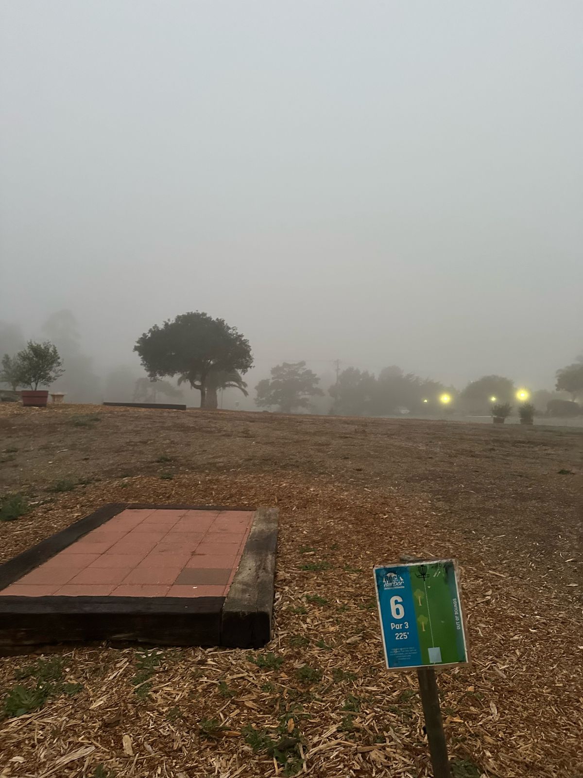 Tee pad 6