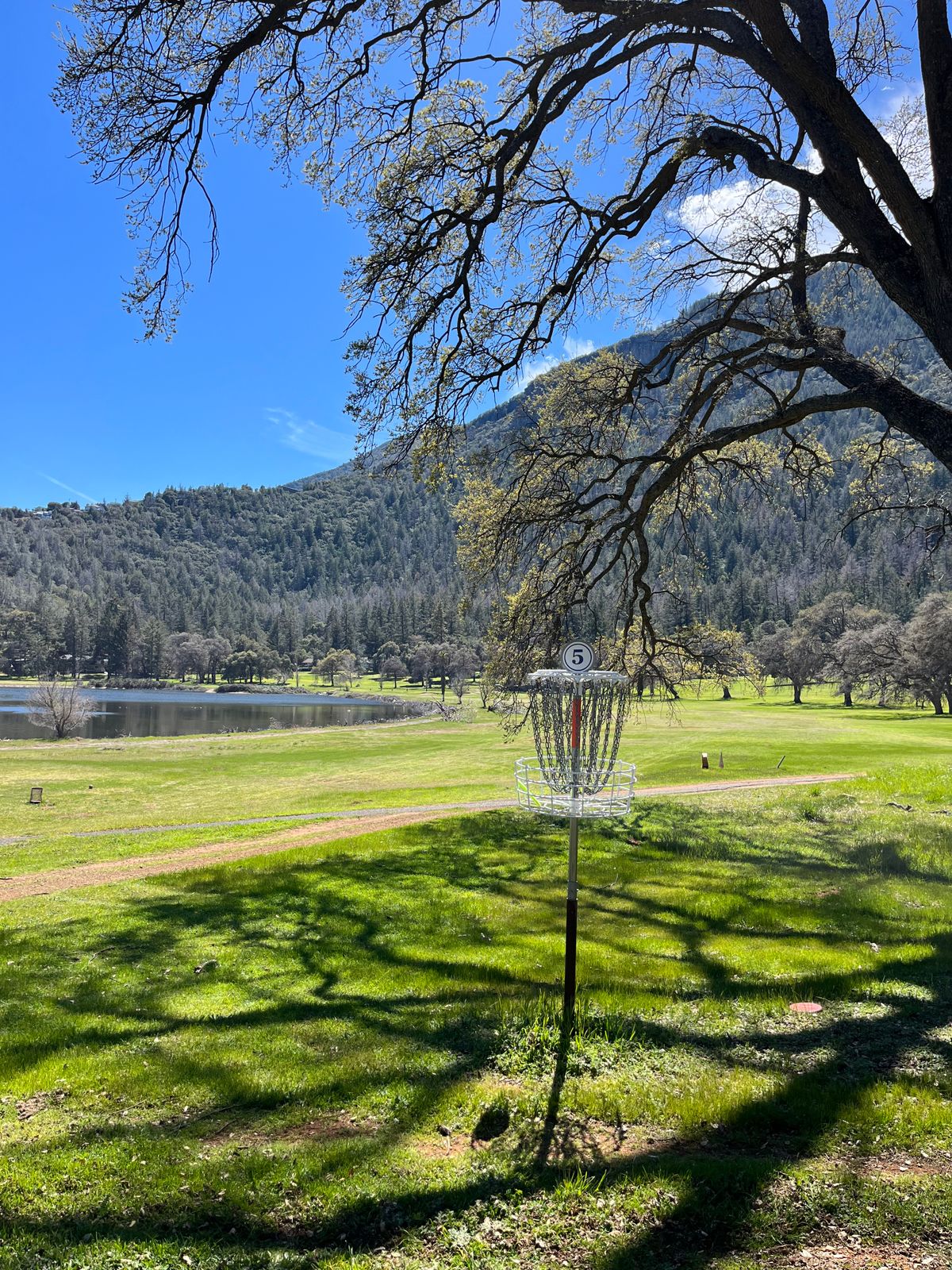 Hole 5