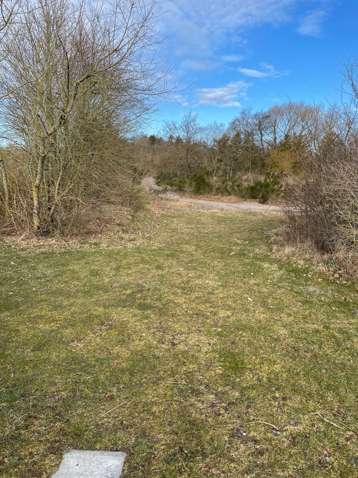 Teeshot Hole 8