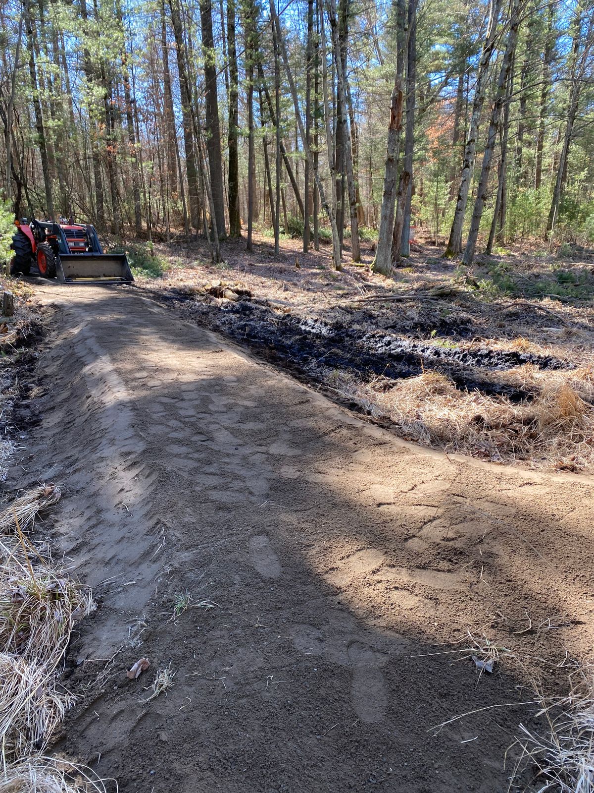 Hole 7 path over swamp