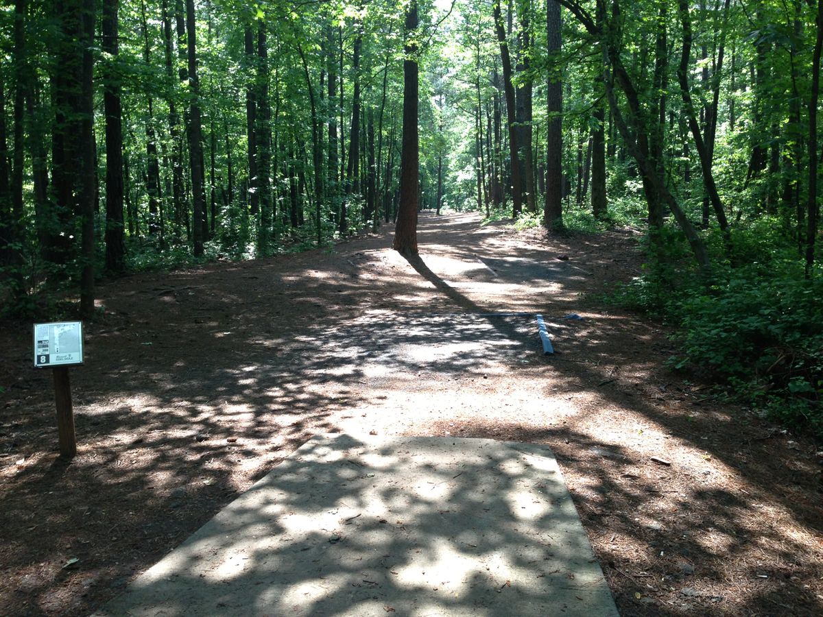 Hole 8 -- long tee