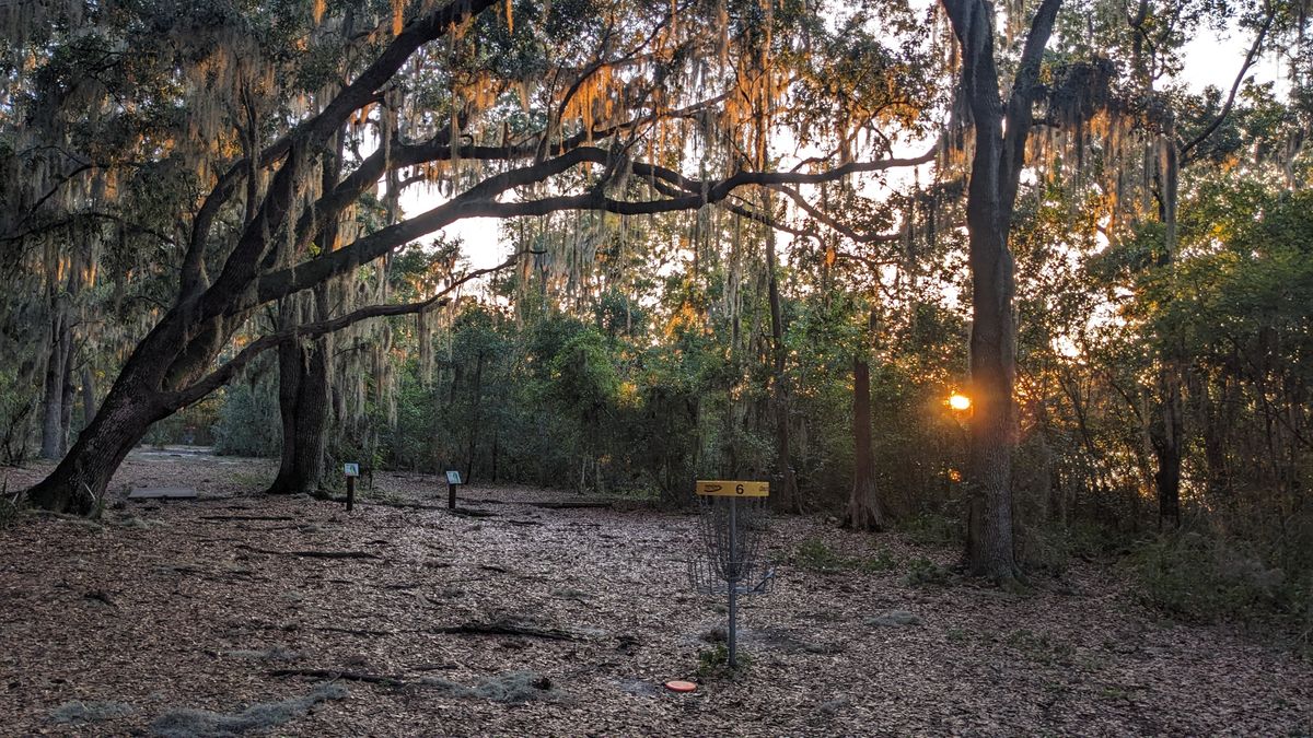 Hole 6's Gold basket basking in a Florida sunset