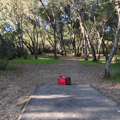 Tee pad 1
