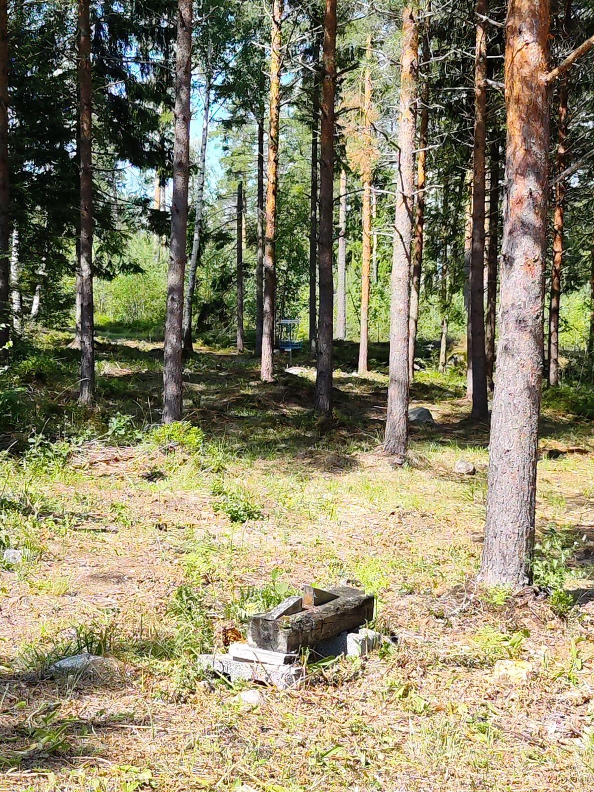 Väylä 11 korille meno