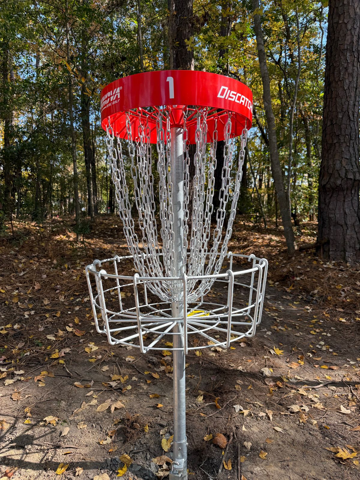 Hole 1 basket