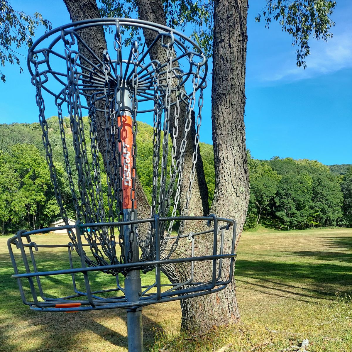 Hole 11 basket
