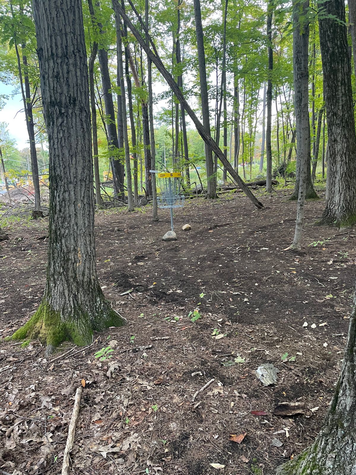 Hole 6 Basket