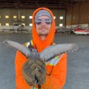 User avatar image