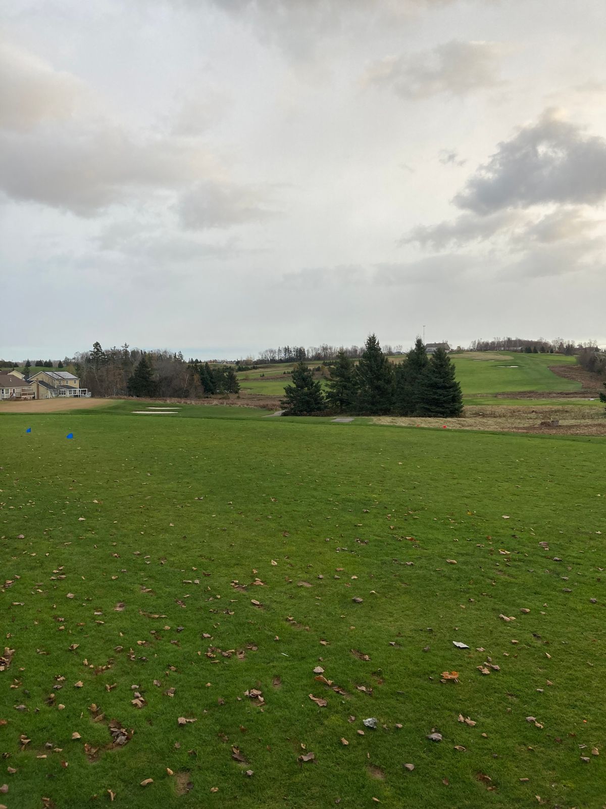 Hole 6 Blue tee (tee left, basket downhill right)