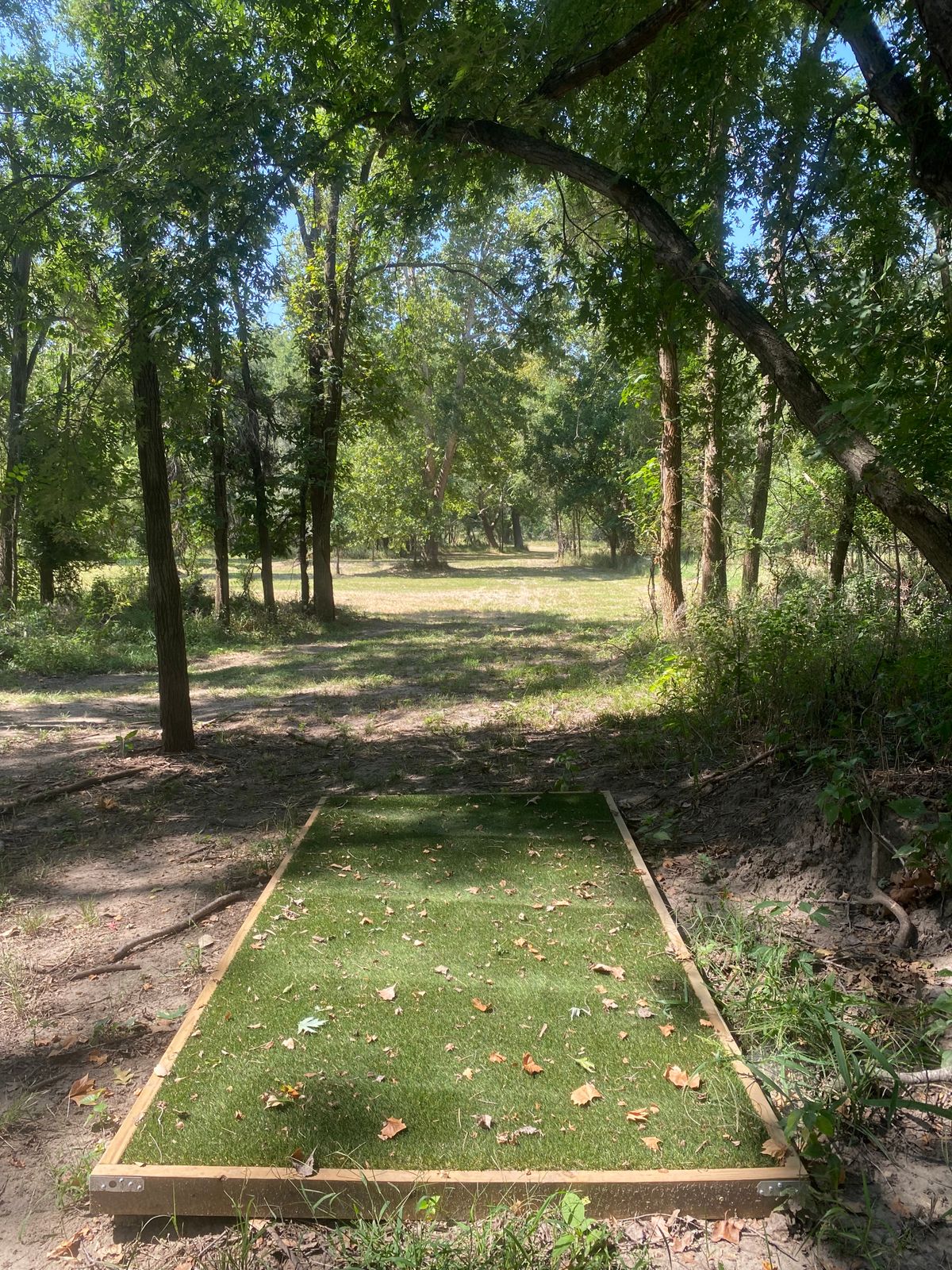 Hole 12 tee