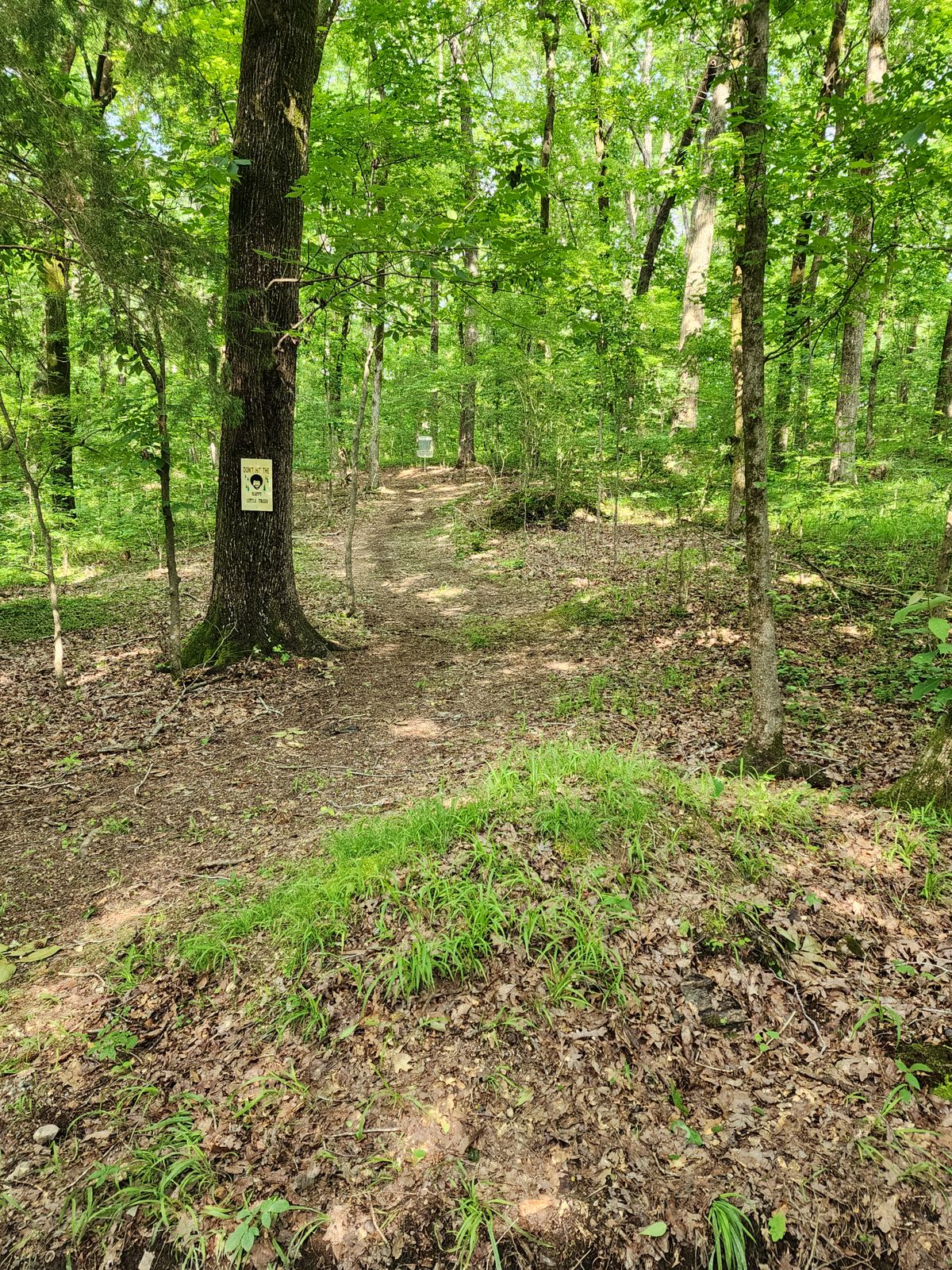 Hole 9