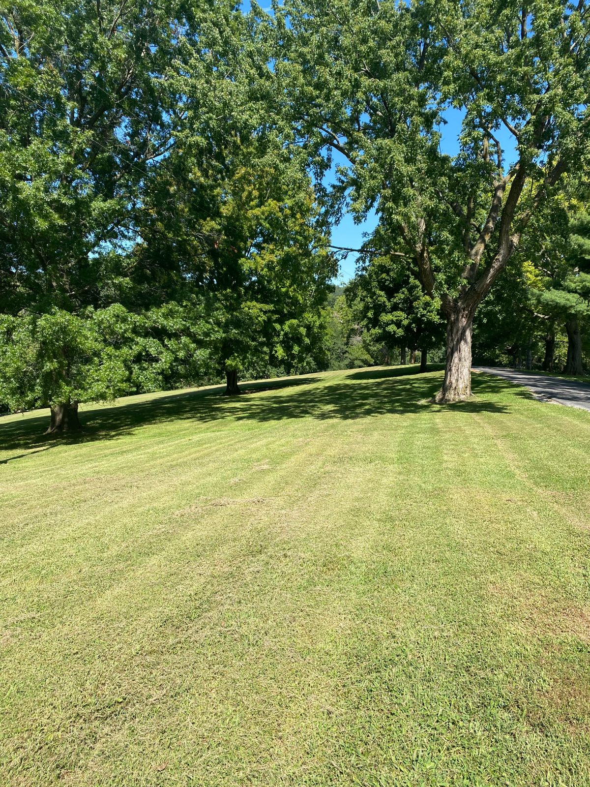 17 fairway