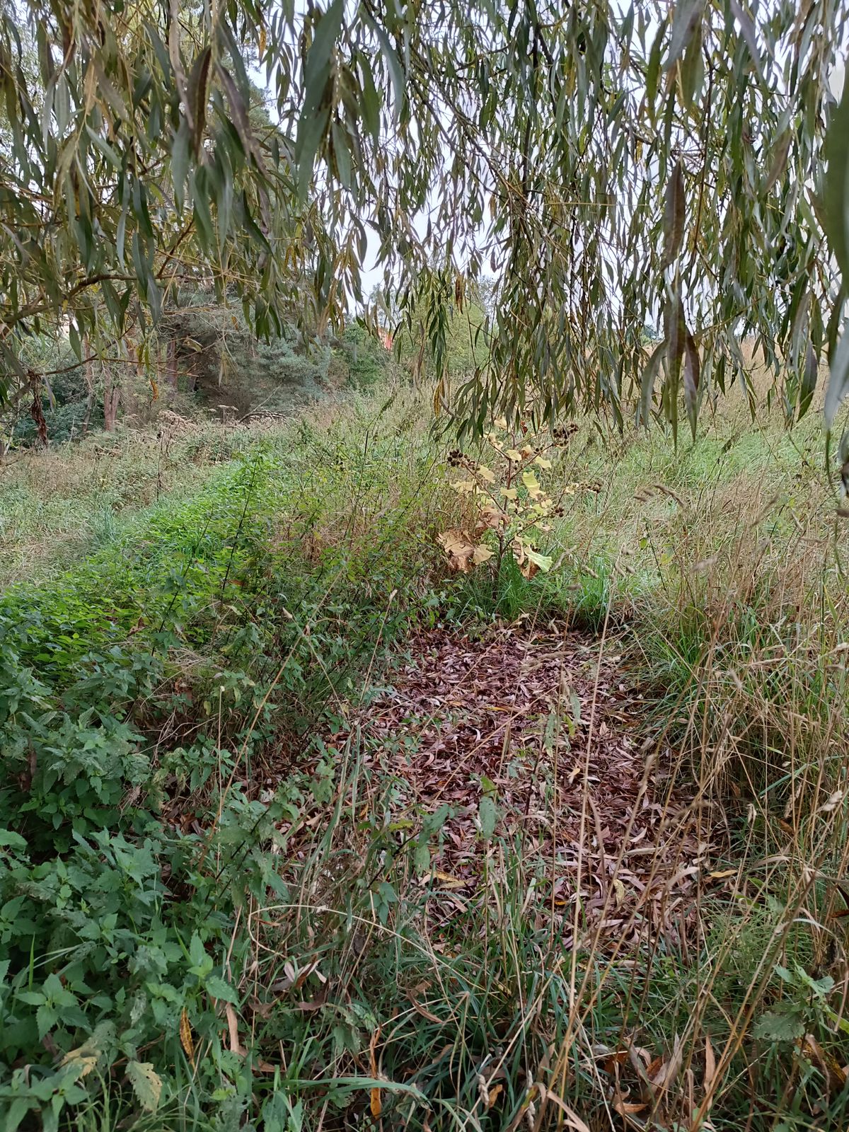 Výhoziště 7