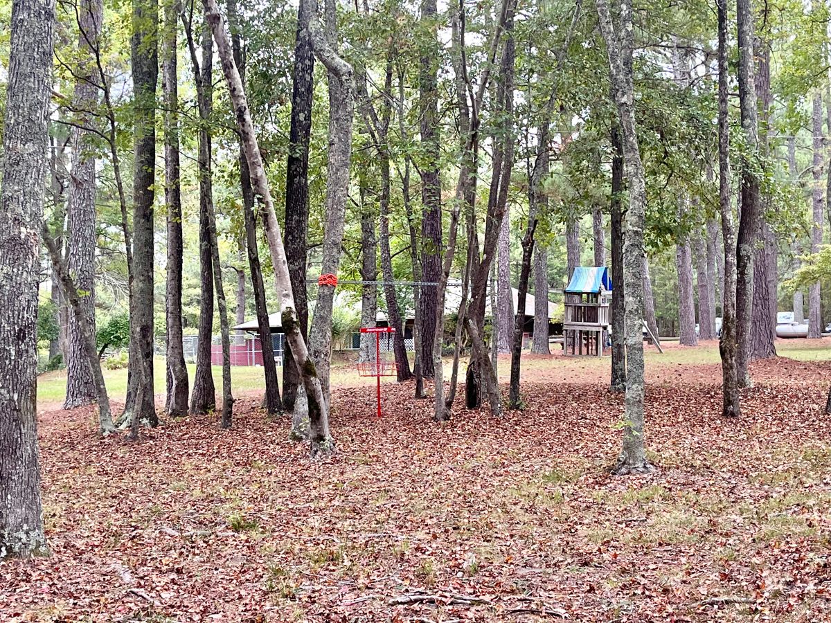 Hole 6 Basket