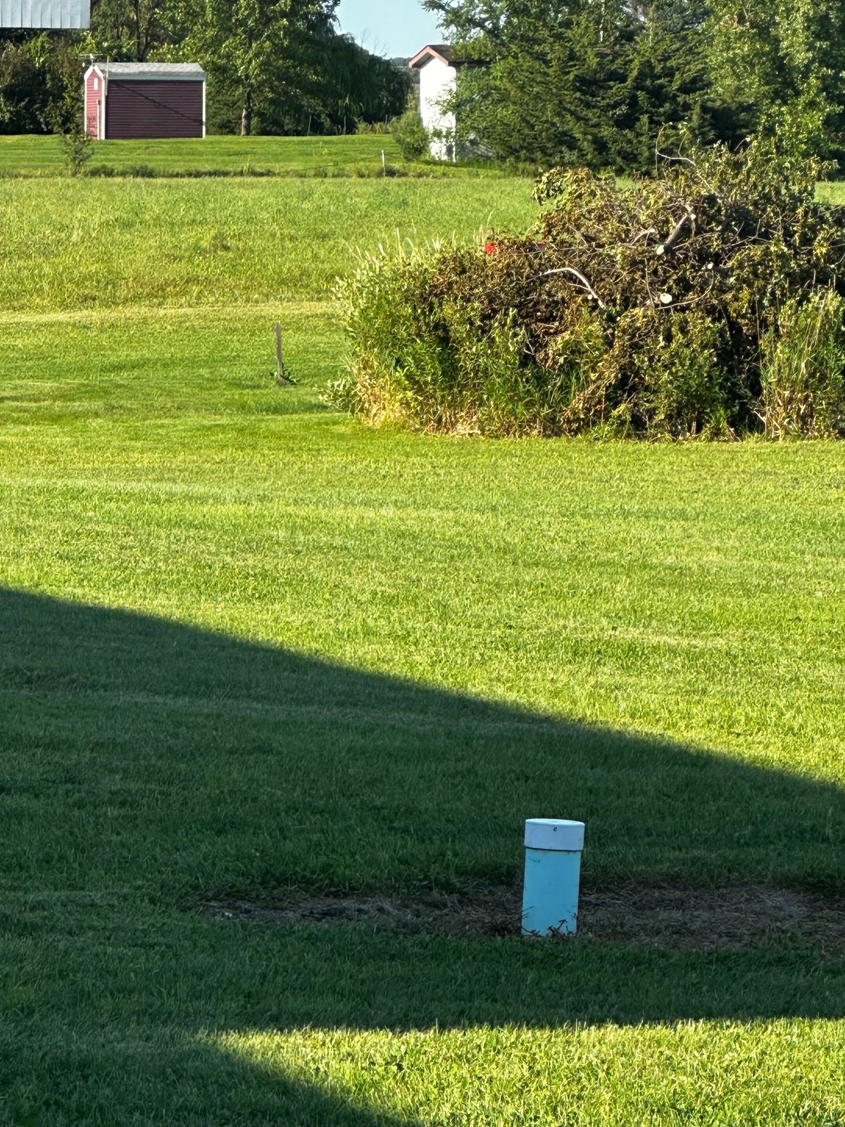 Hole 4 pin behind brush pile. View from tee box