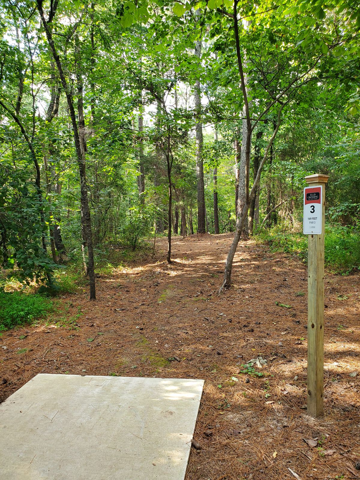 Hole 3 tee
