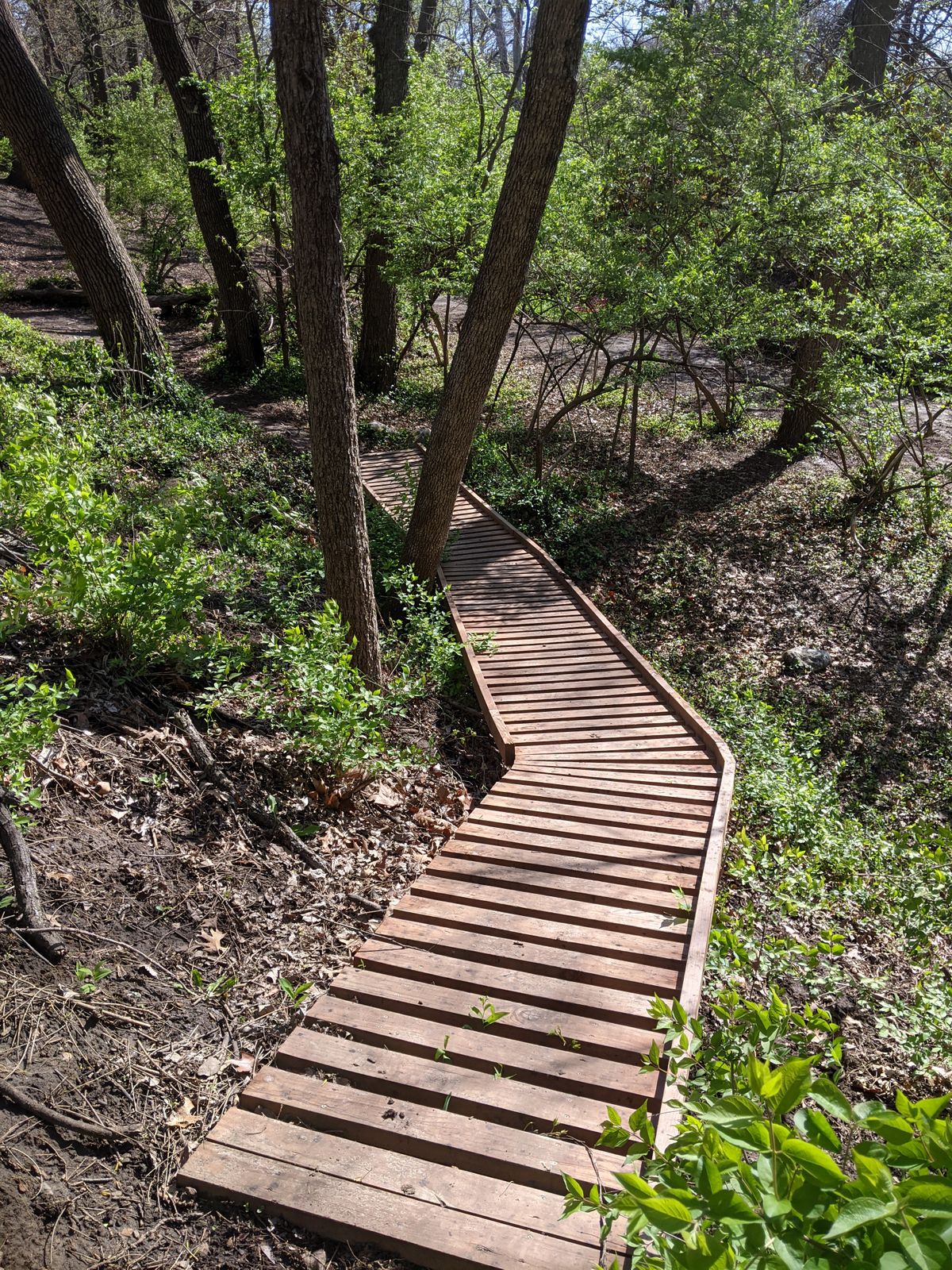 Hole 6 bridges along fairway.