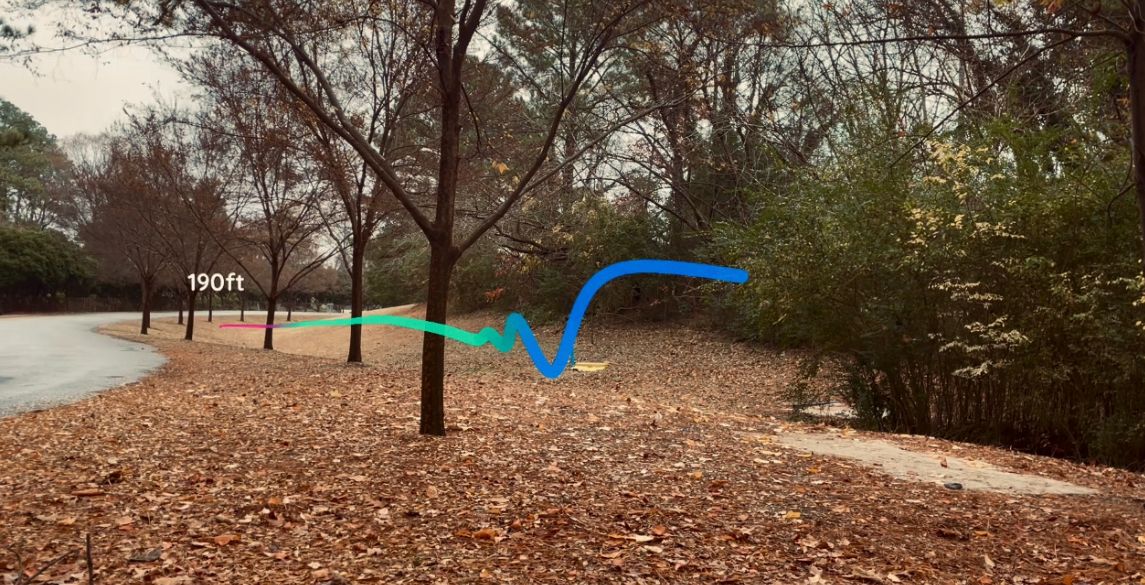 Hole 1B: Right hand Backhand roller.