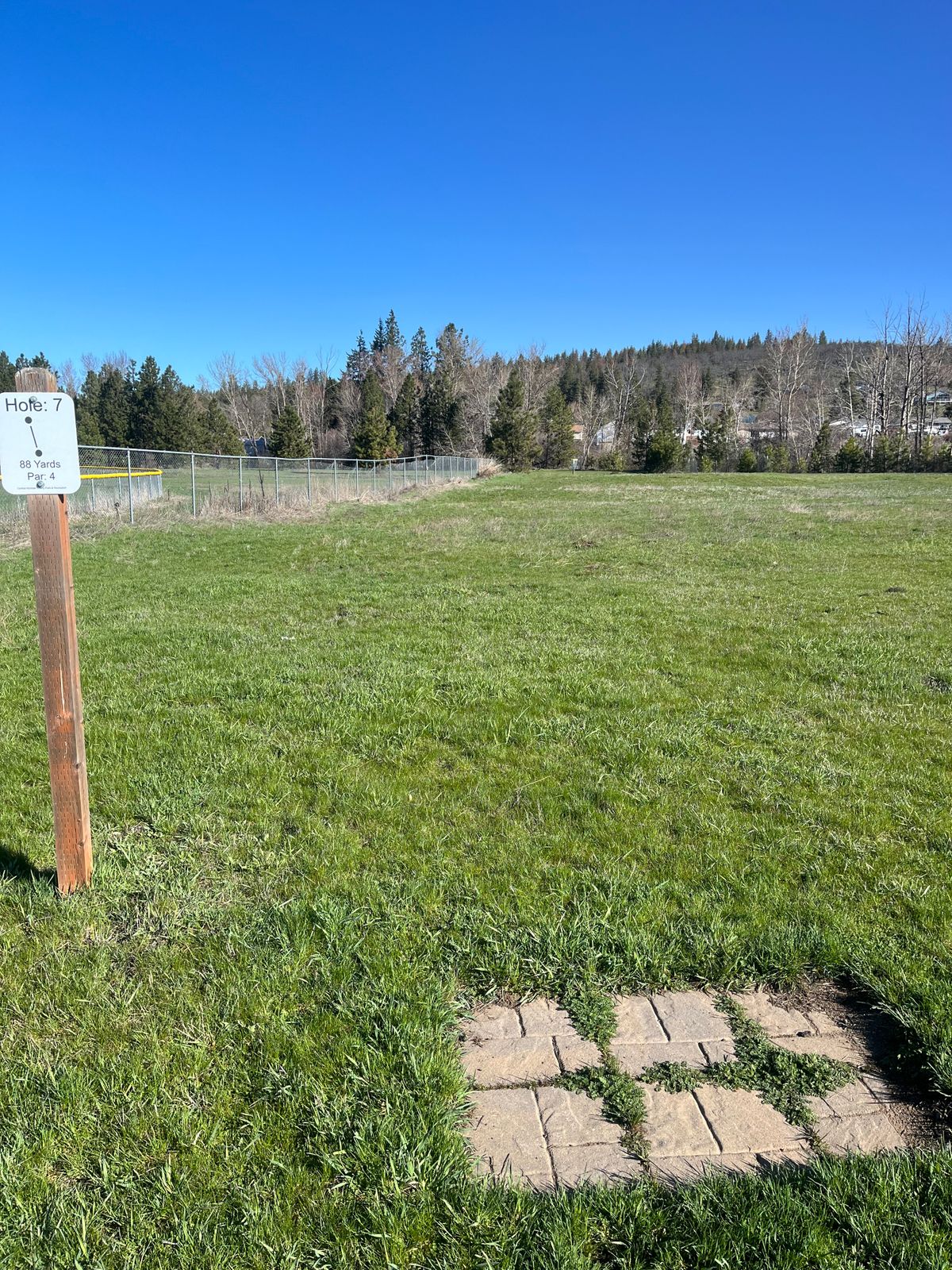 Hole 7 tee pad looking at basket