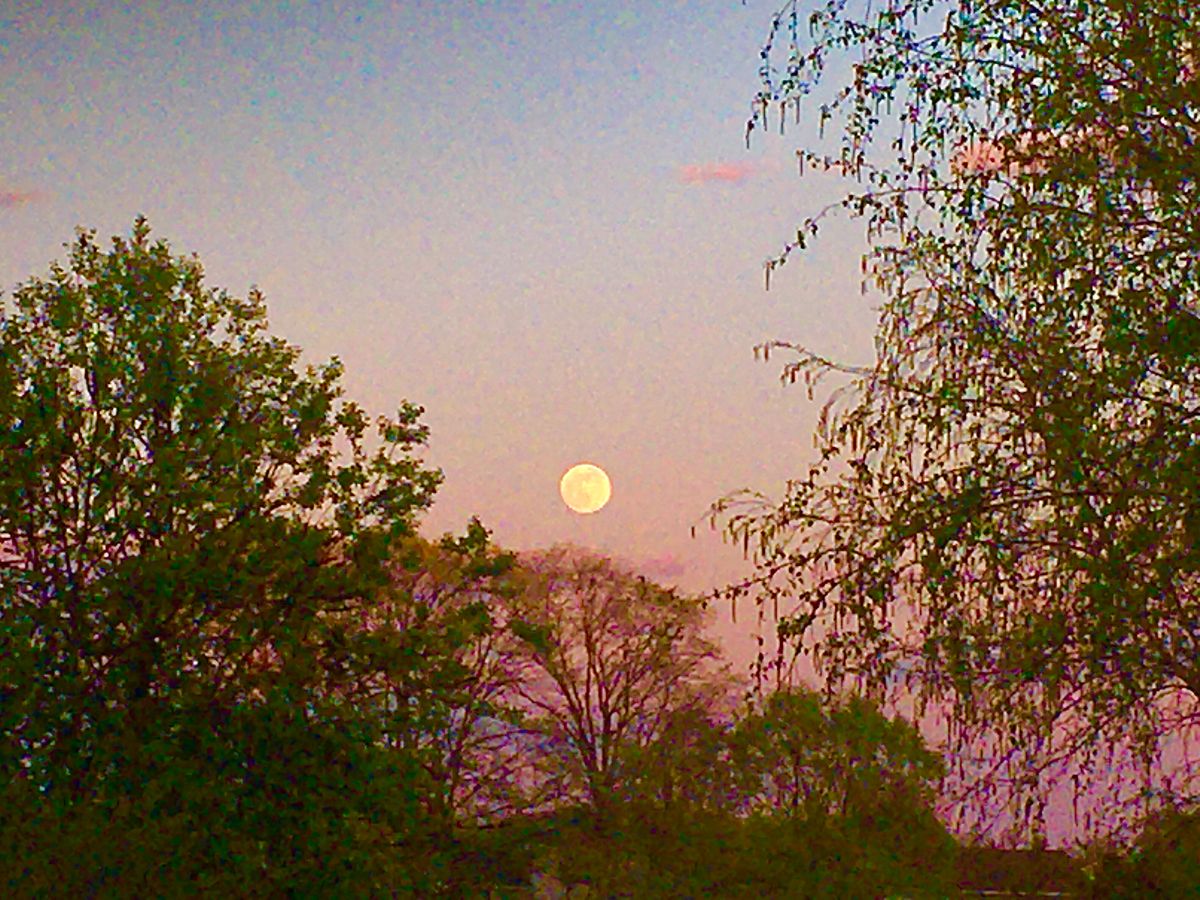 Moonrise from 10, looking East