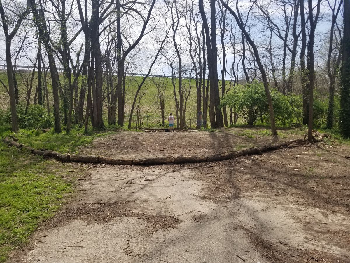 Hole 3 island green