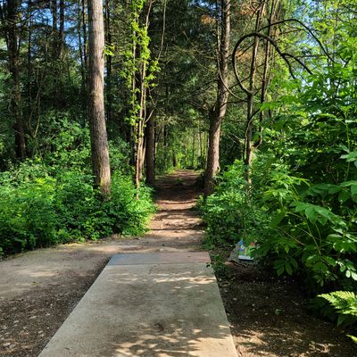 Hole 12