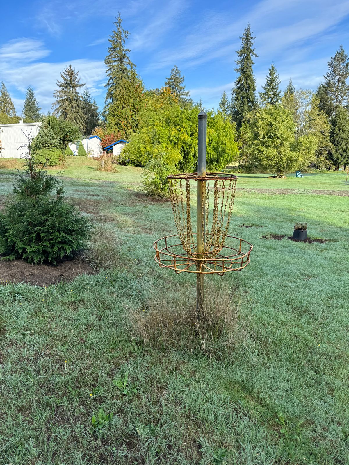 Basket - Hole 6