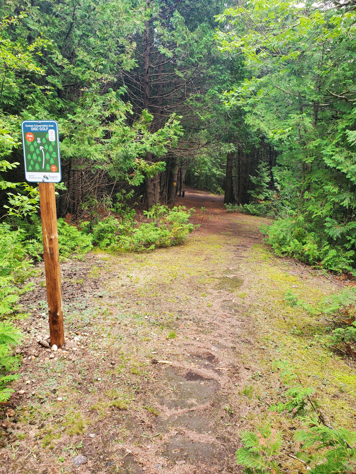 Hole 8 start