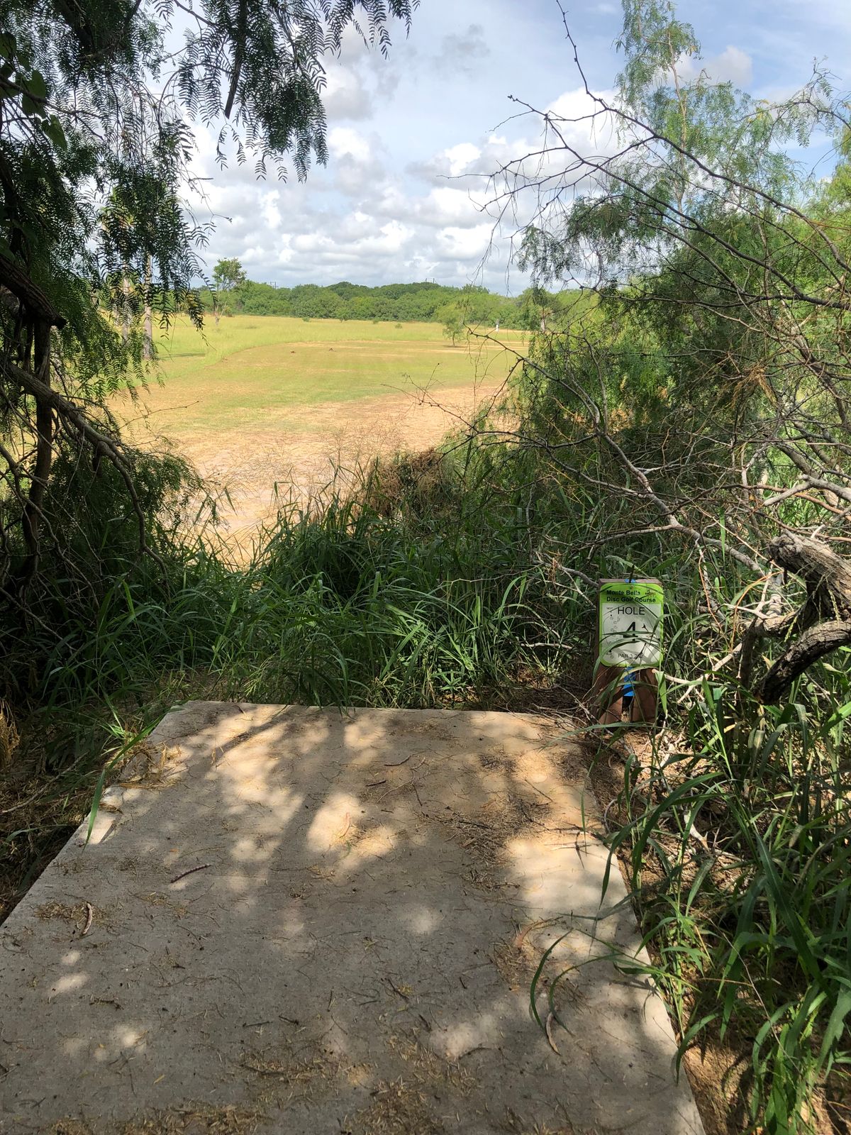 Hole 8 tee pad