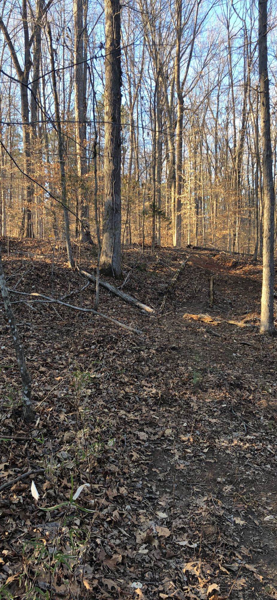 Hole 12 Tee