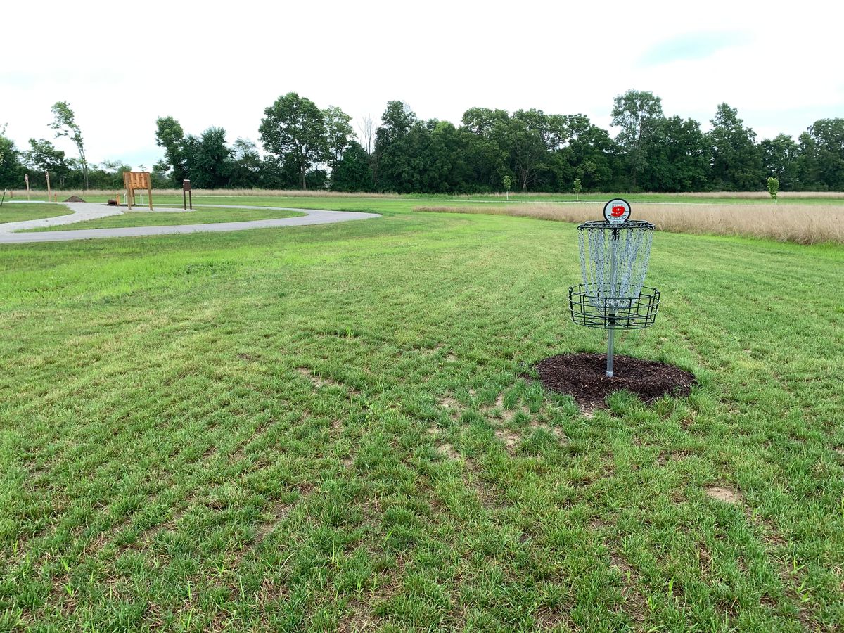 Hole 9 Basket