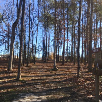Hole# 4 - Short