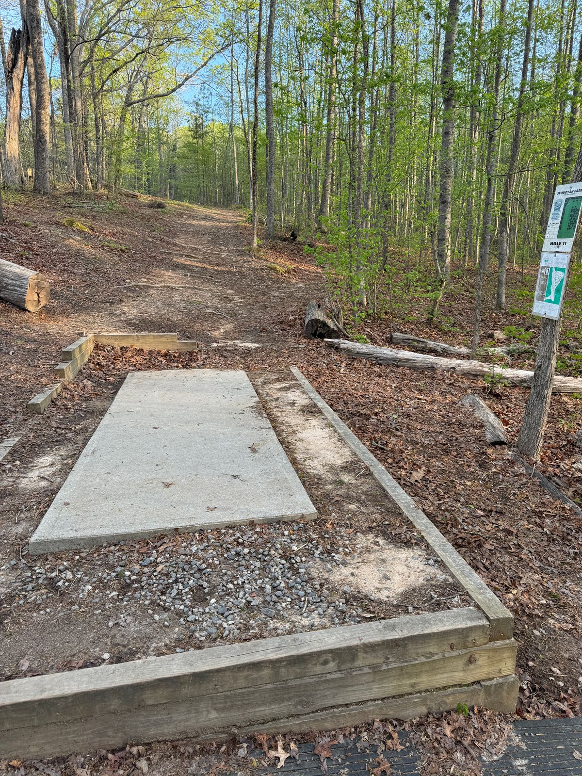 Hole 11