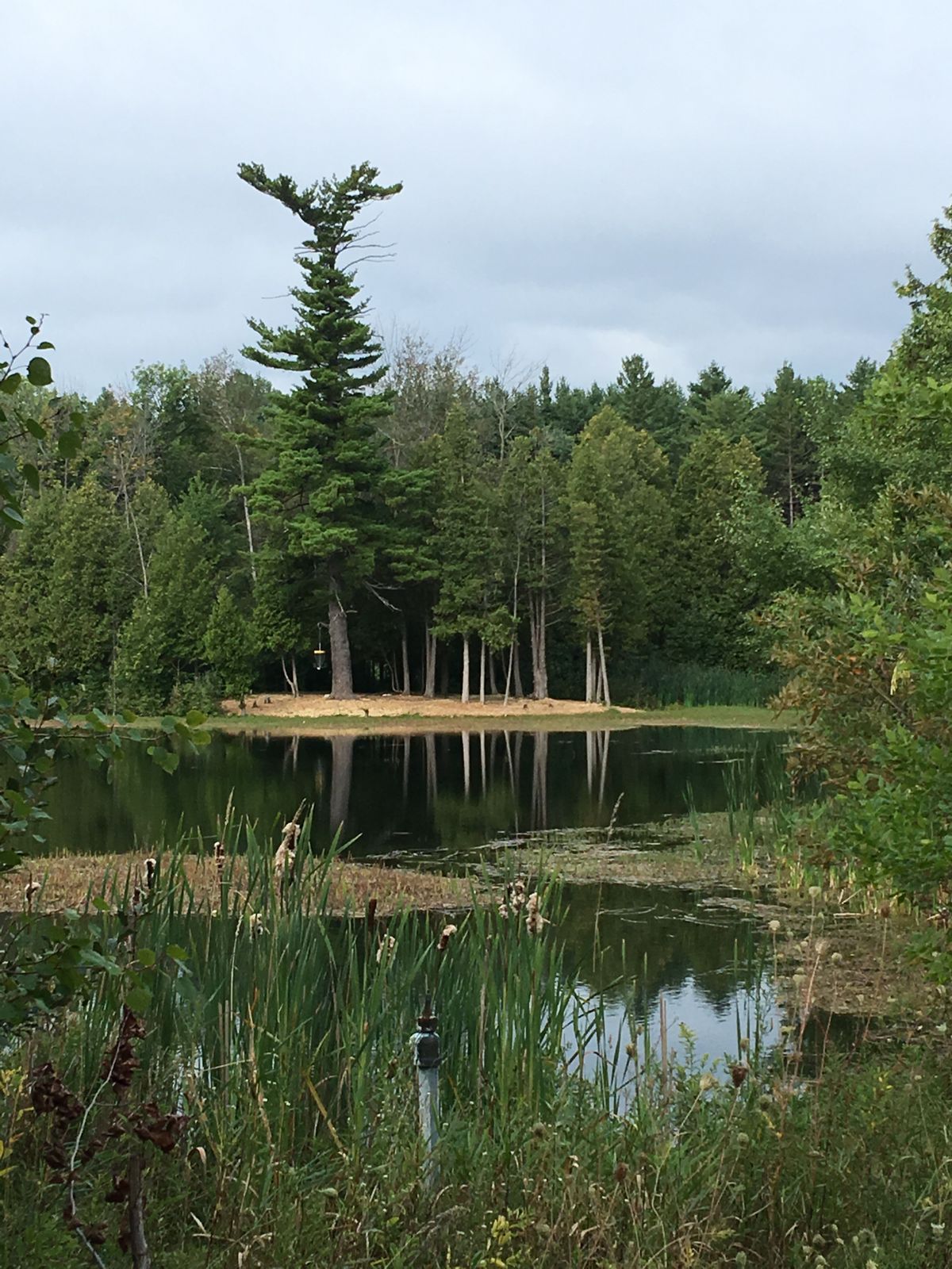 A view of #3