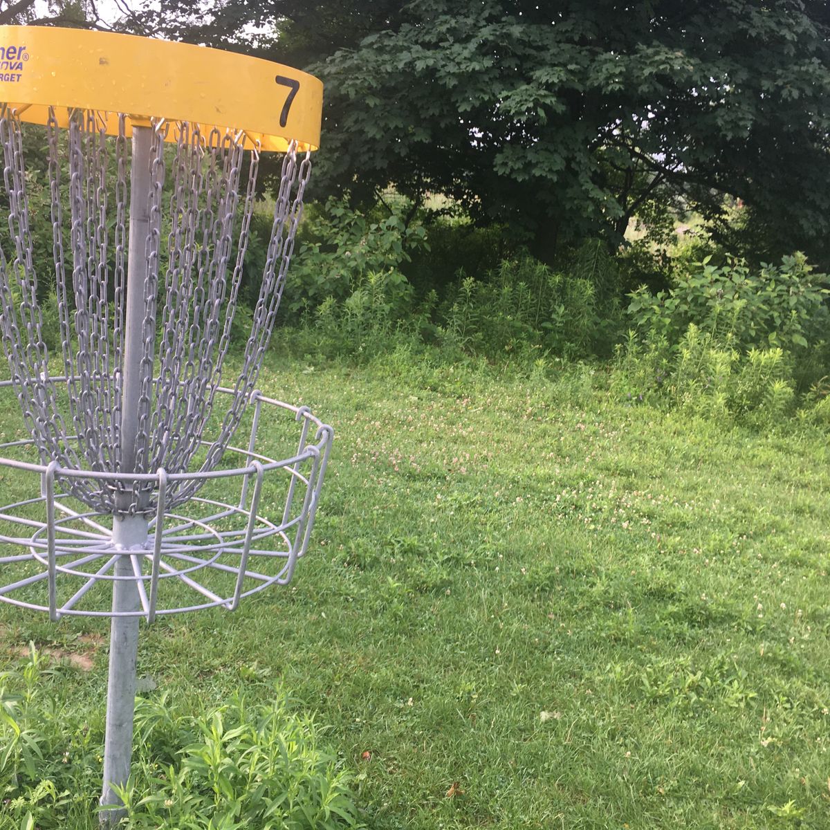 Putting on hole 7 🍀🍃☘️🍃🌿