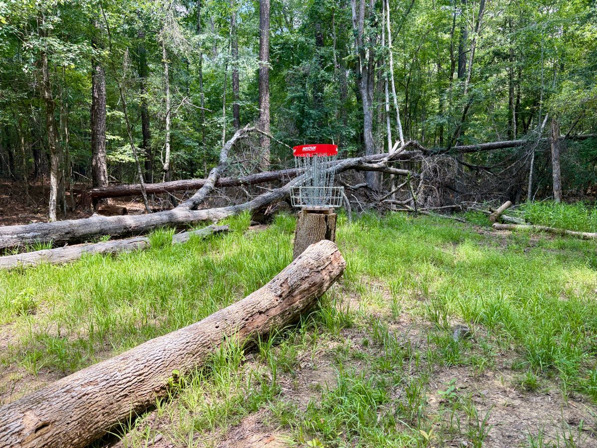 Hole 2 Basket