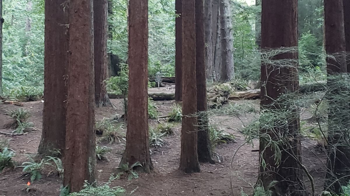 Hole 1.