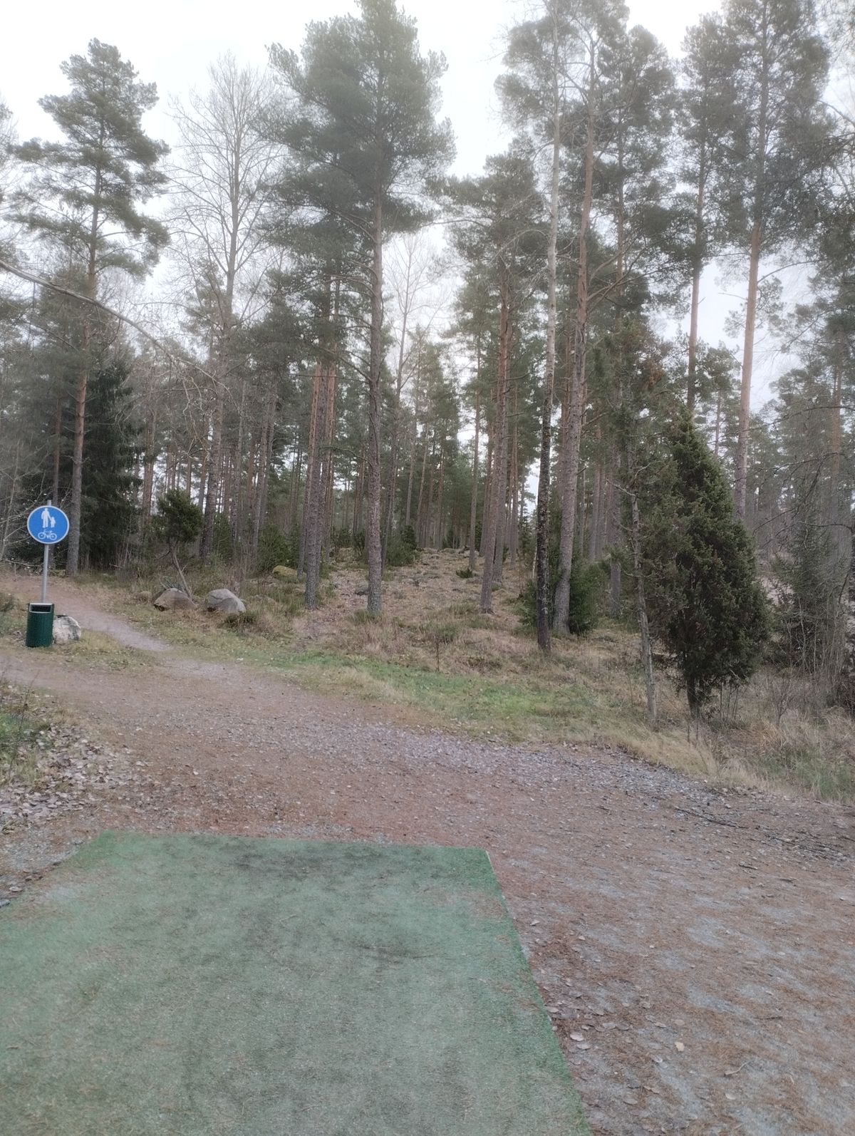 Väylä 5